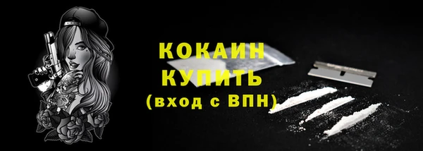 гидра Кукмор