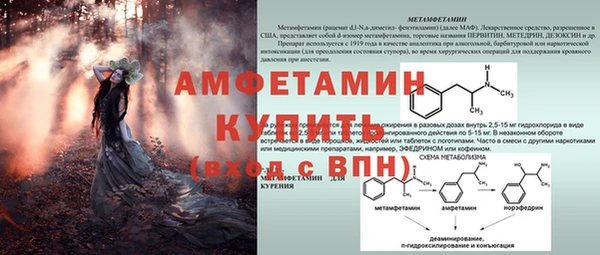 ГАЛЛЮЦИНОГЕННЫЕ ГРИБЫ Куйбышев