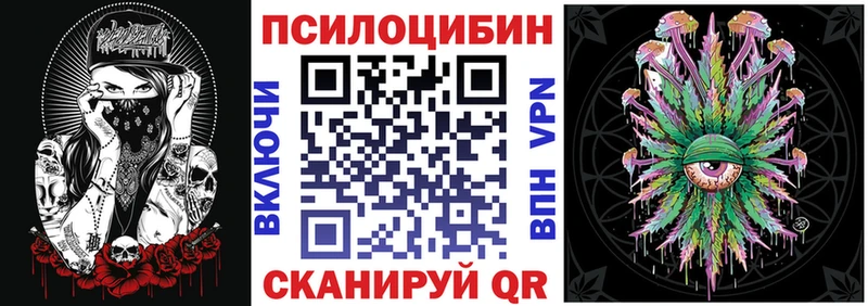 дарнет шоп  Нолинск  Галлюциногенные грибы мицелий 